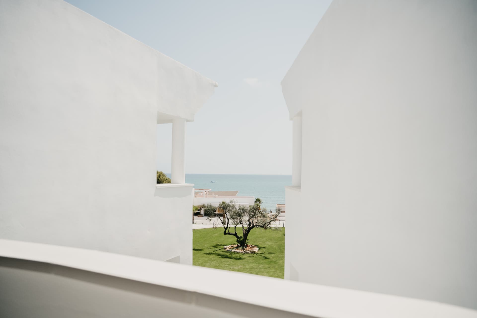 Olivo en el jardín central enmarcado por la arquitectura blanca y el mar