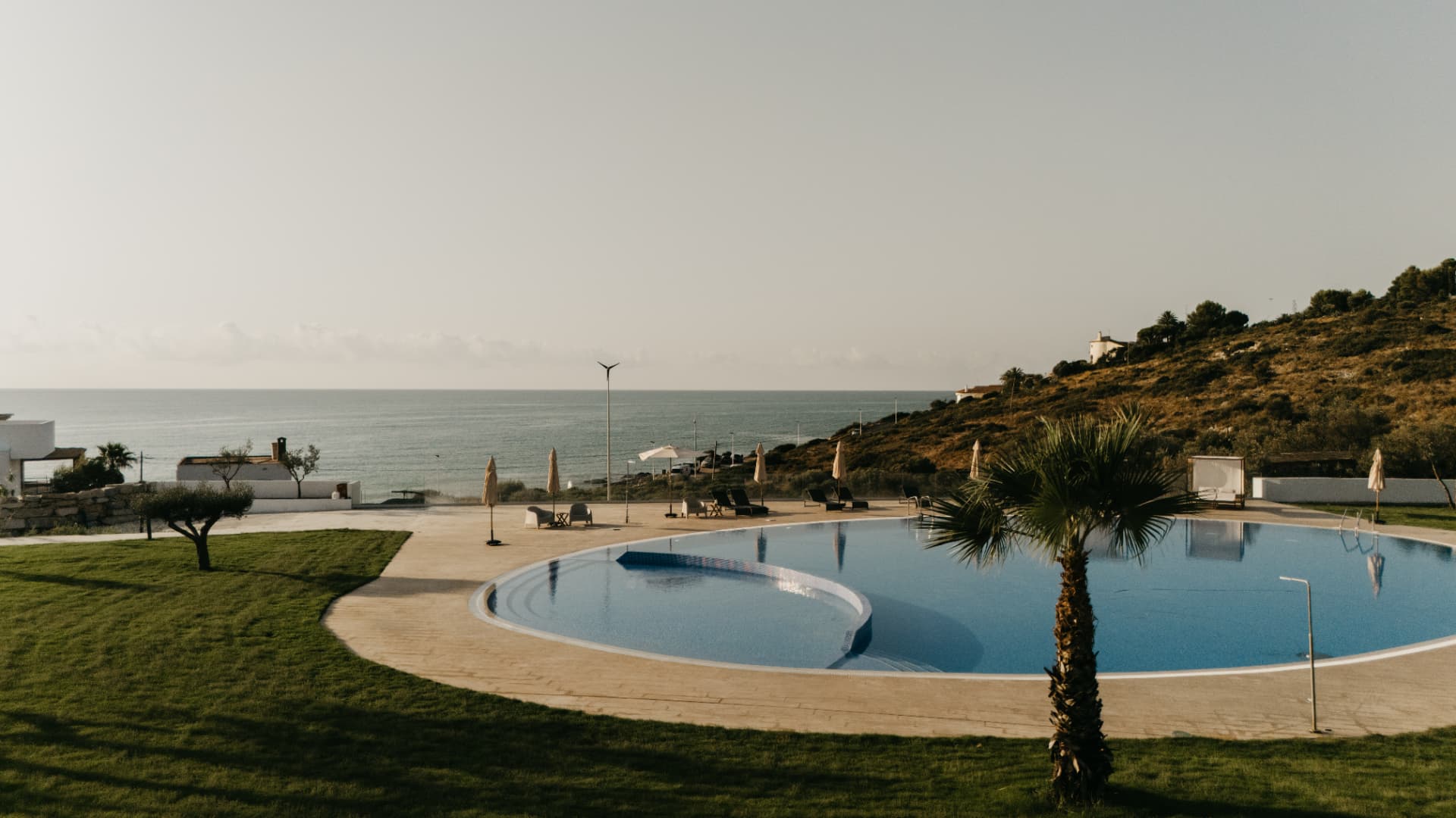 Piscina circular con palmera y horizonte marino al atardecer